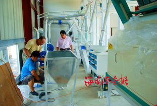 中建農(nóng)場(chǎng)投資興建南呂香大米加工廠的投資管理策略與實(shí)踐